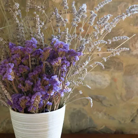 Agriturismo Le Valli Casciana Terme